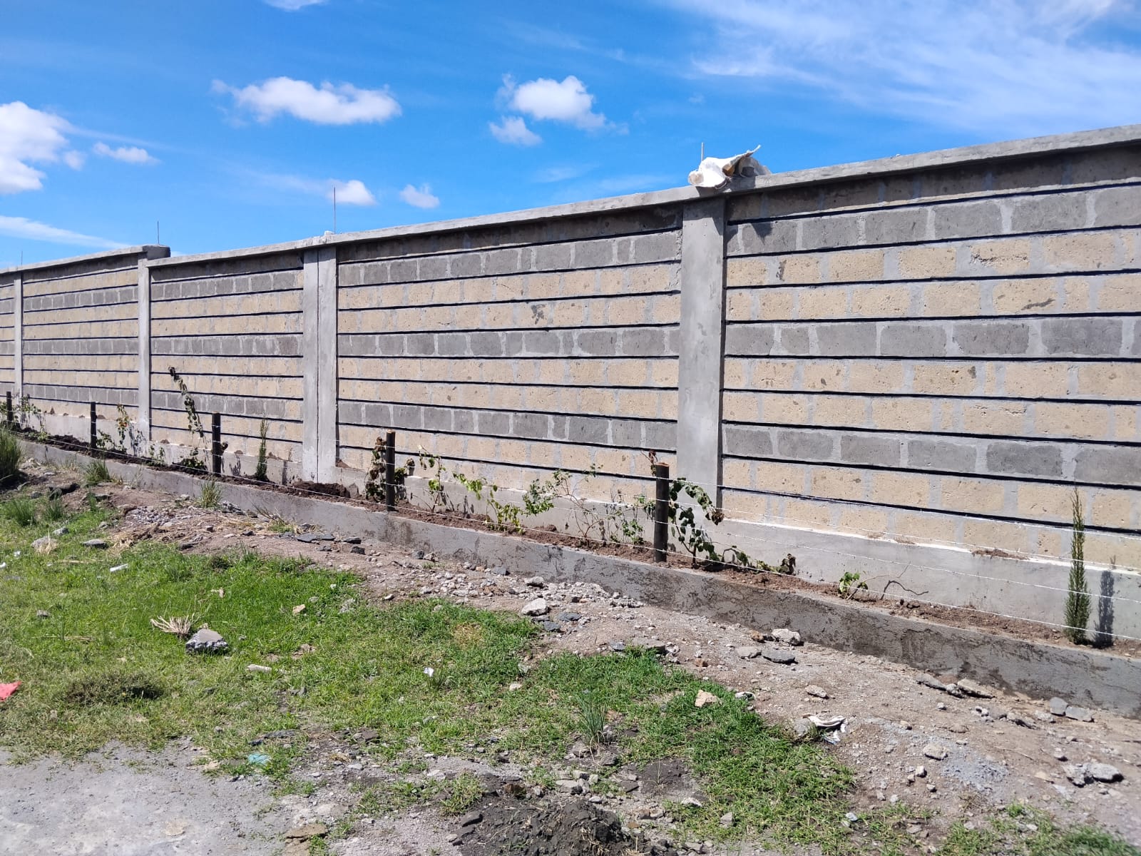 Foundation & Structure